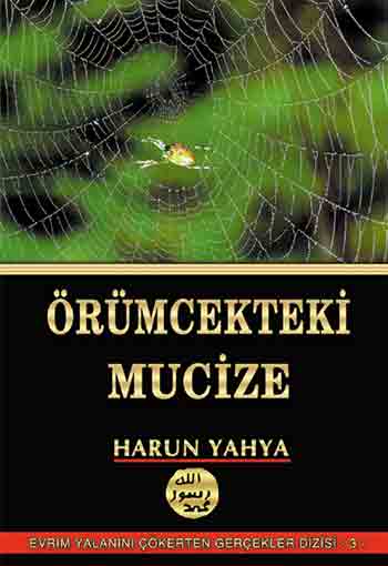 ÖRÜMCEKTEKİ MUCİZE