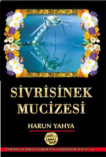 SİVRİSİNEK MUCİZESİ